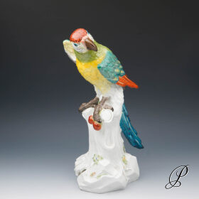 Traumhafter großer Papagei Meissen 1.Wahl – die Schönheit des Amazonas!!!