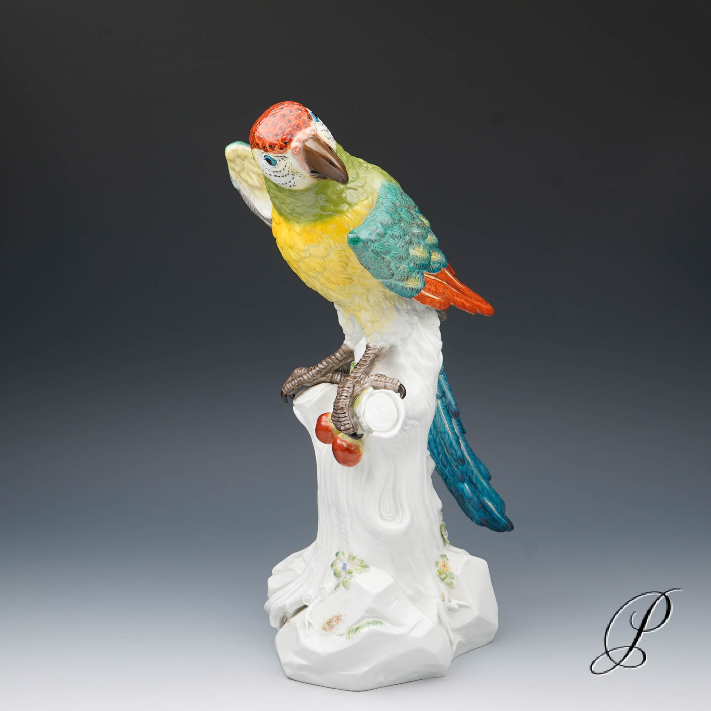 Traumhafter großer Papagei Meissen 1.Wahl – die Schönheit des Amazonas!!!