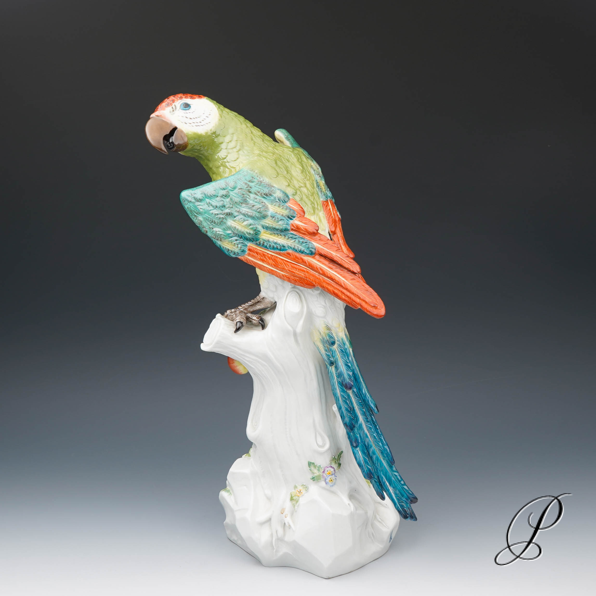 Traumhafter großer Papagei Meissen 1.Wahl – die Schönheit des Amazonas!!! – Bild 4