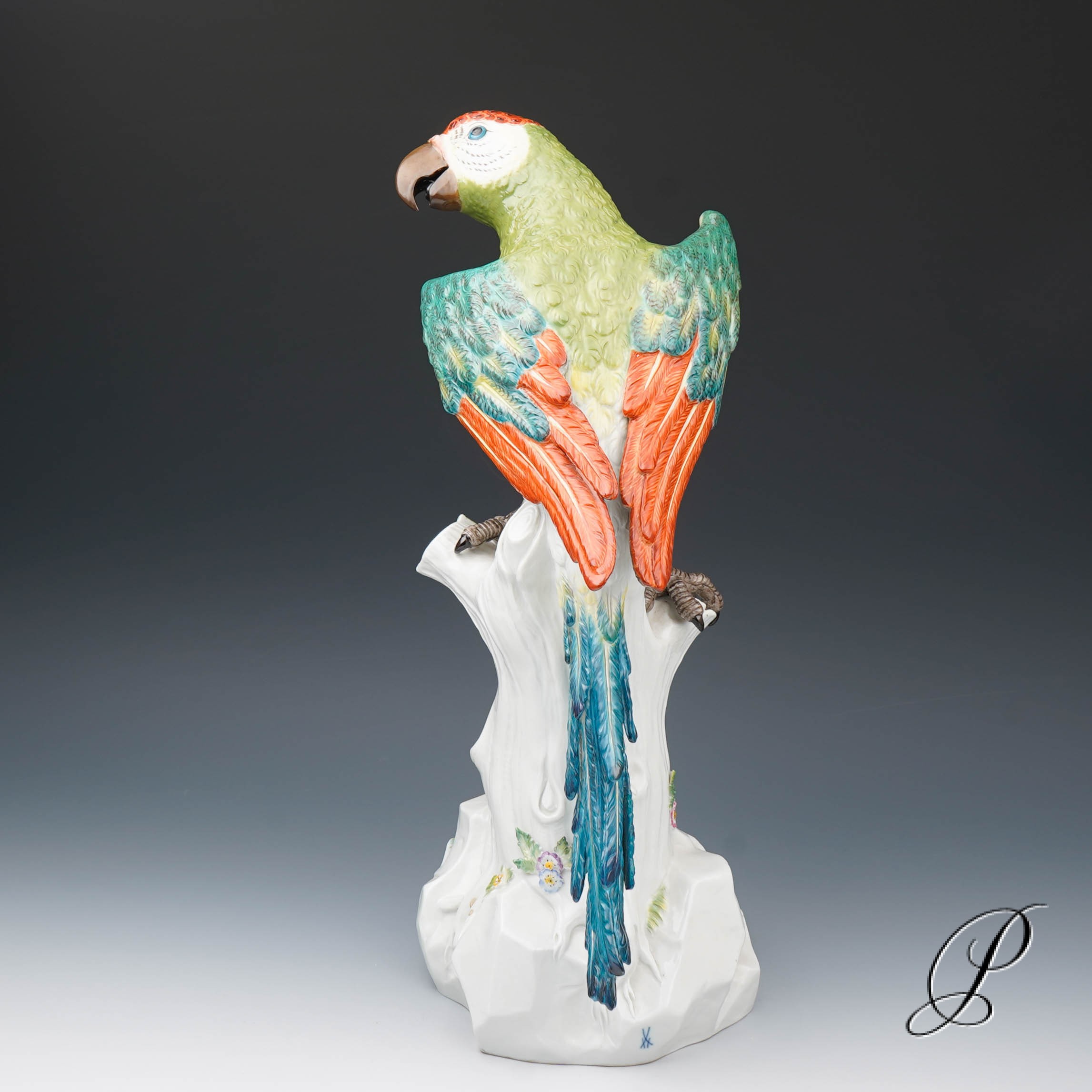 Traumhafter großer Papagei Meissen 1.Wahl – die Schönheit des Amazonas!!! – Bild 5