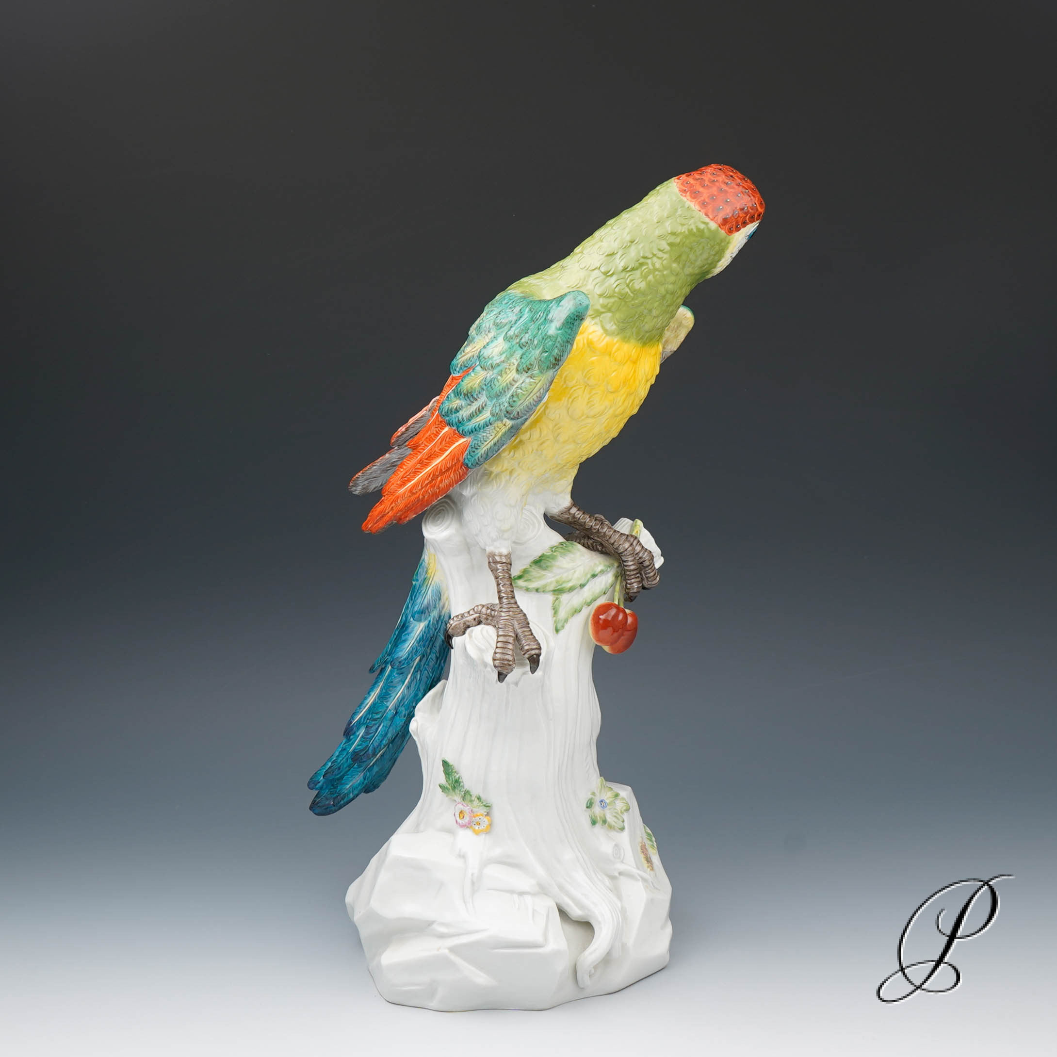 Traumhafter großer Papagei Meissen 1.Wahl – die Schönheit des Amazonas!!! – Bild 7