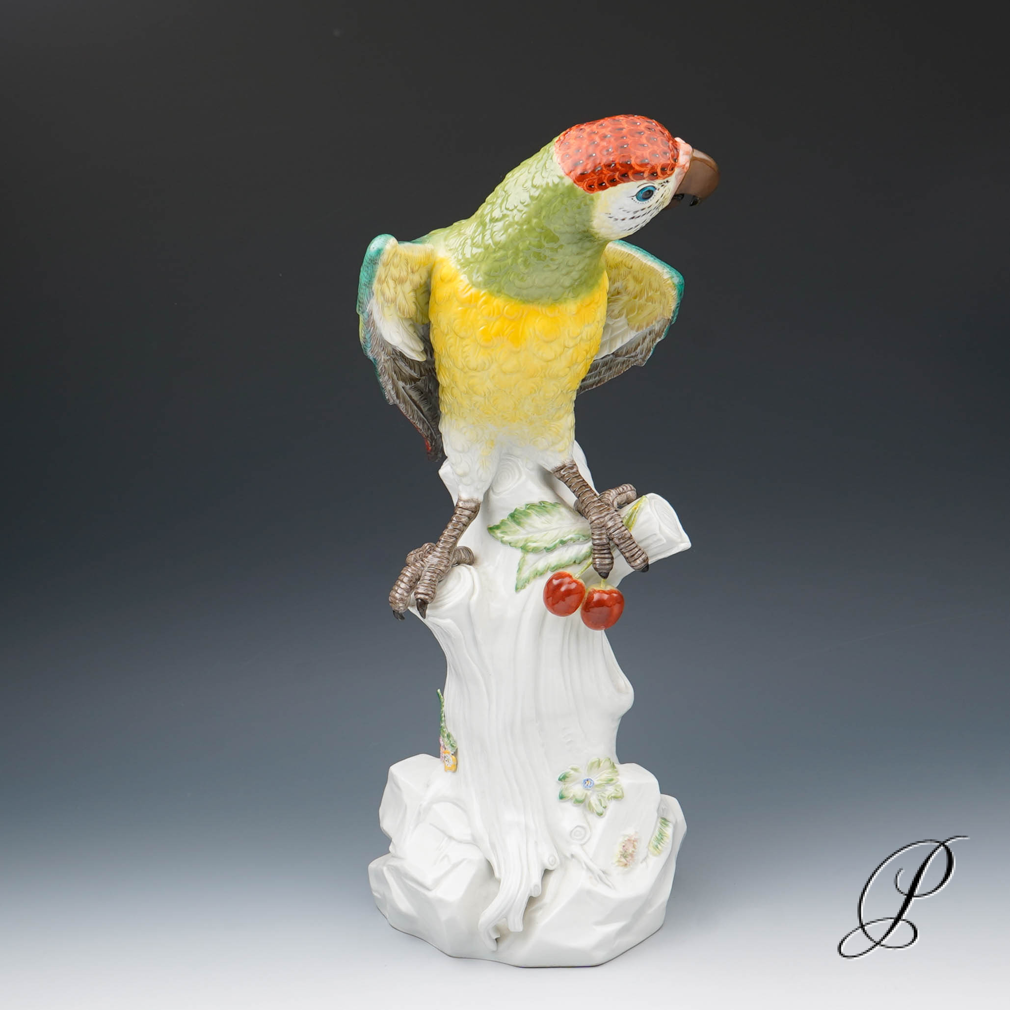 Traumhafter großer Papagei Meissen 1.Wahl – die Schönheit des Amazonas!!! – Bild 8