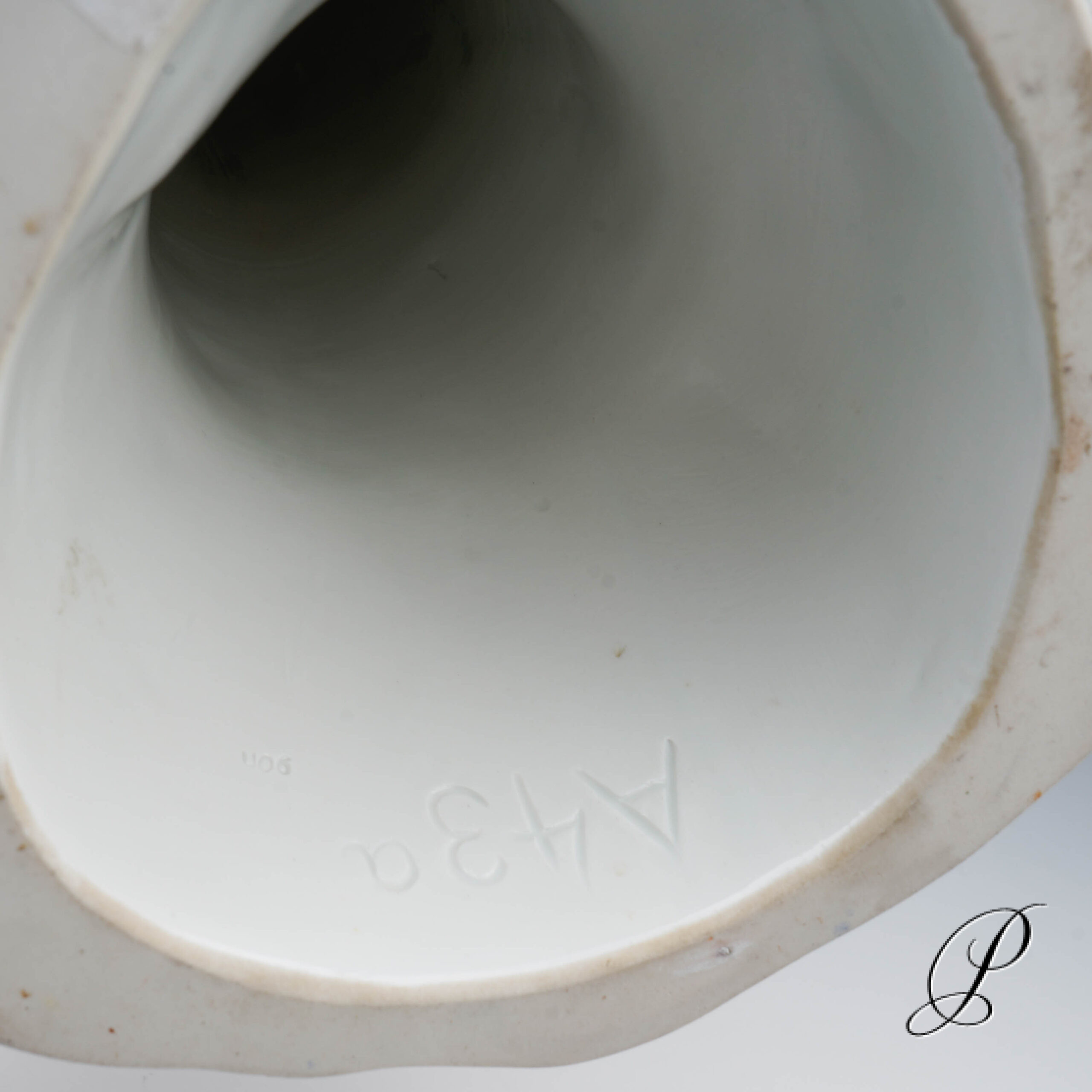 Traumhafter großer Papagei Meissen 1.Wahl – die Schönheit des Amazonas!!! – Bild 11