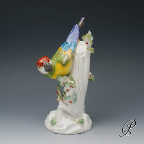 wunderschöner Papagei Meissen 1.Wahl