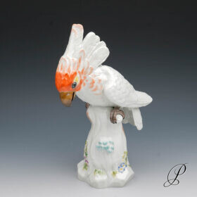 Meissen Figur 1.Wahl Kakadu